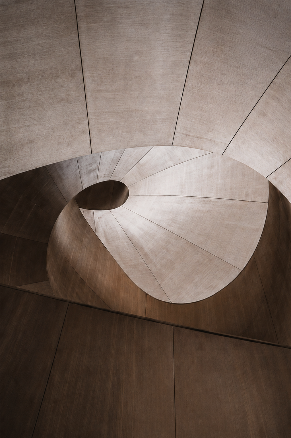 Warm wood spiral interior